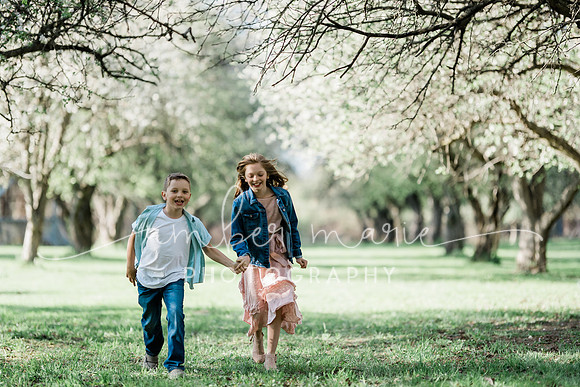 AMP05355-65f