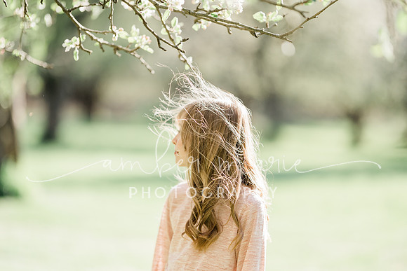 AMP05384-74