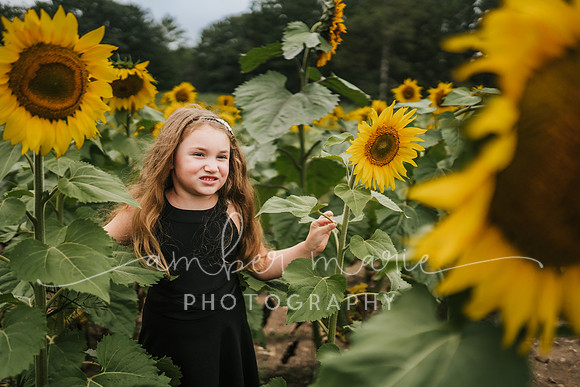 Rebekah_sunflowers-41