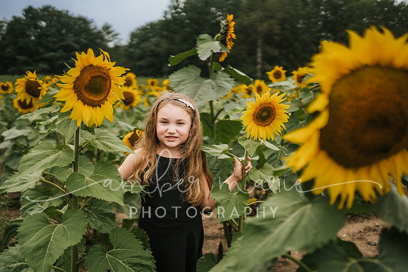 Rebekah_sunflowers-42