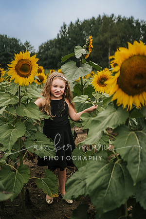 Rebekah_sunflowers-40
