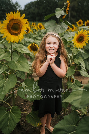 Rebekah_sunflowers-38