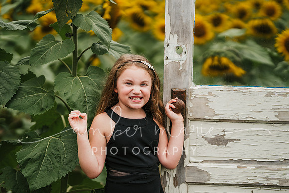 Rebekah_sunflowers-12