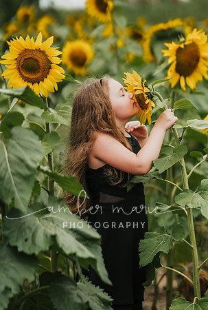 Rebekah_sunflowers-9