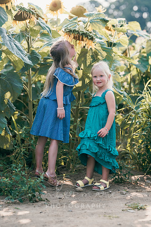 AMP01084-32
