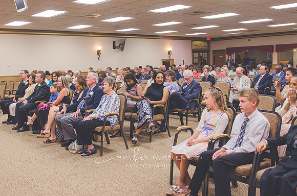 AMP_gibbons-0655