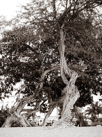 P5100257
