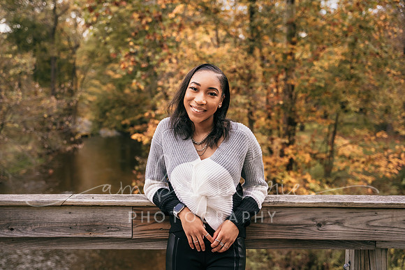 AMP-06271