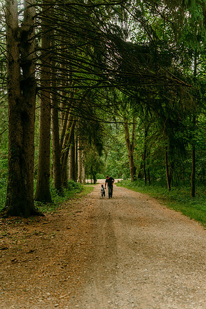 DSC01714_Bollaert