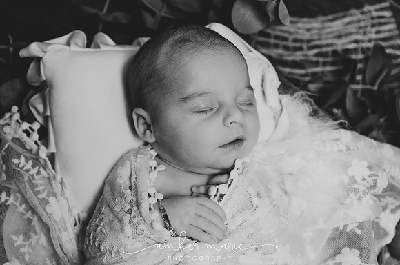 AMP_eleanor_newborn_final--44