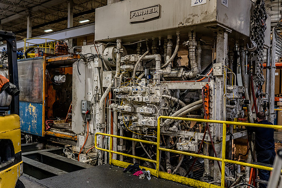 AMP_lr-09175