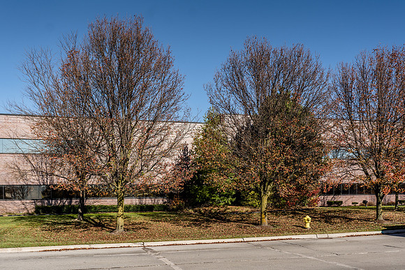 AMP_lr-09209
