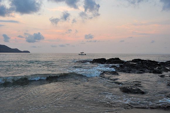 DSC_0016 (3)
