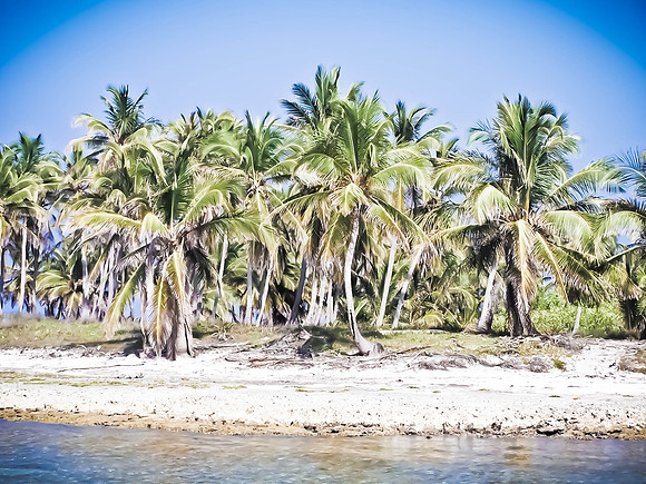 Punta Cana, DR 257