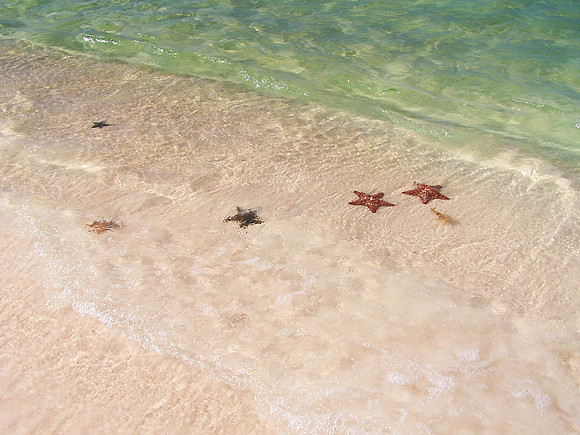 Punta Cana 094
